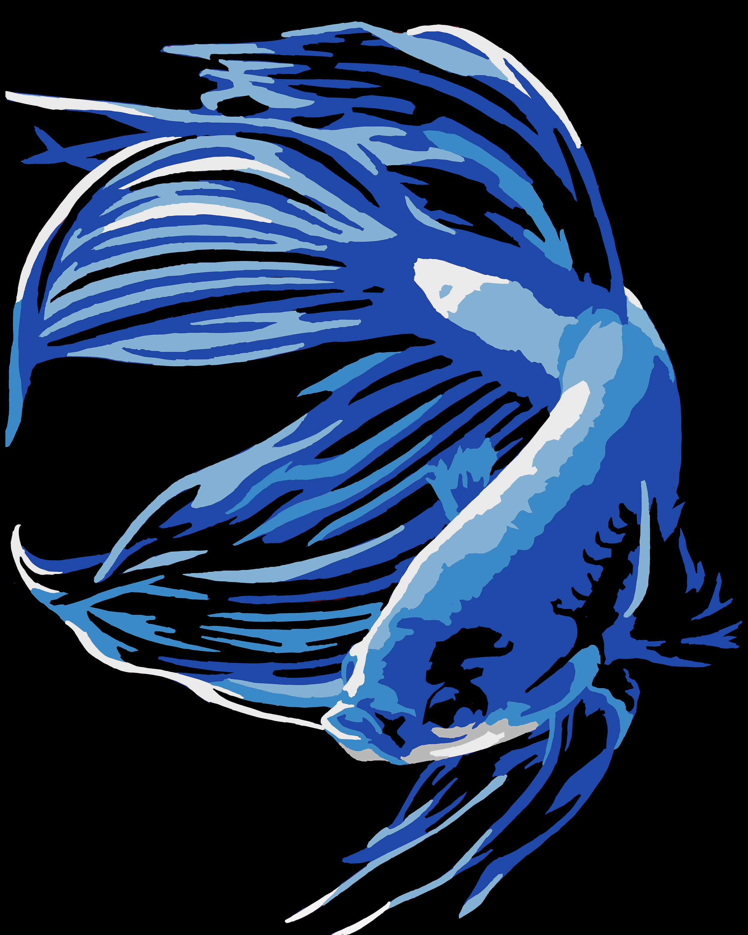 Betta