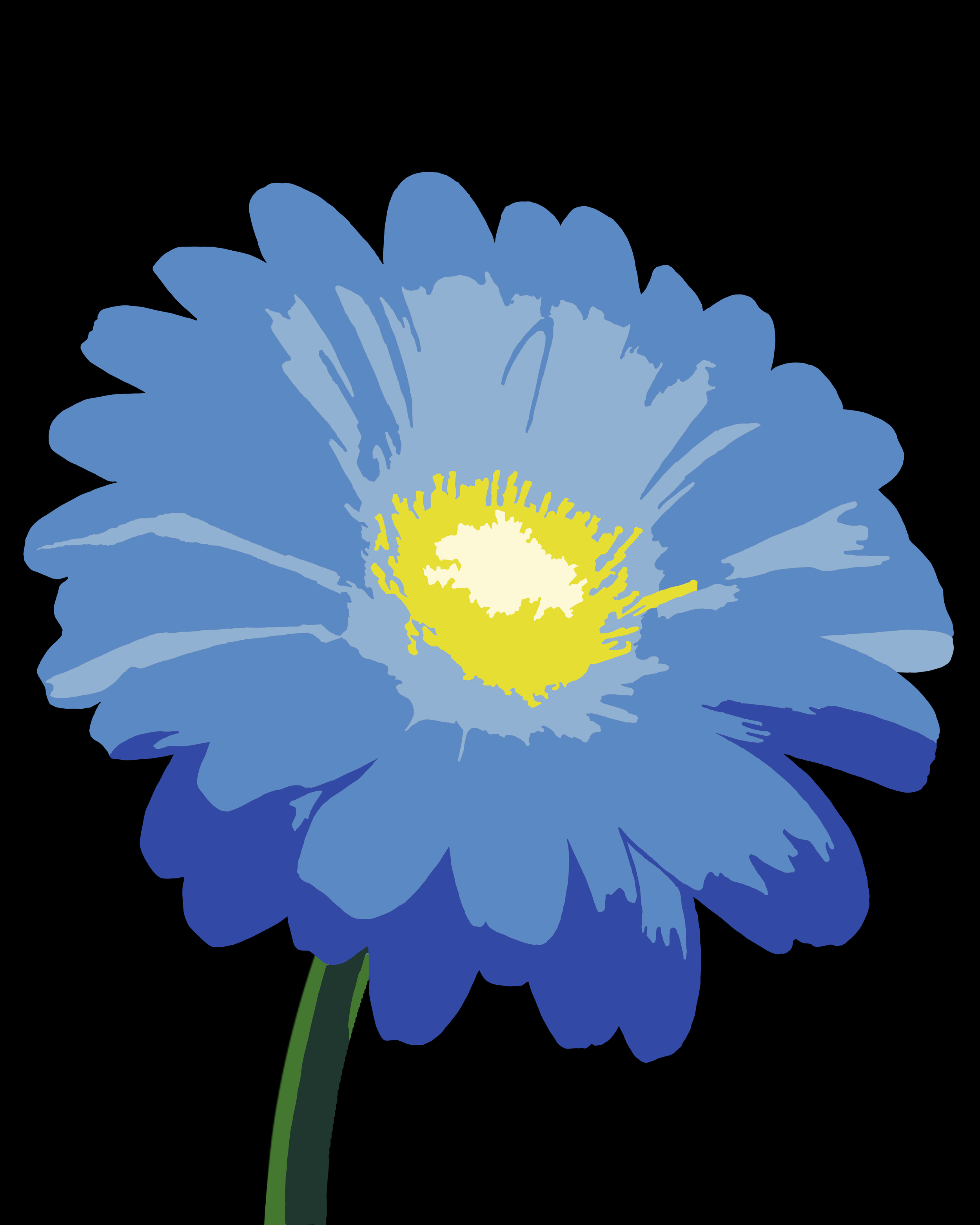 Daisy