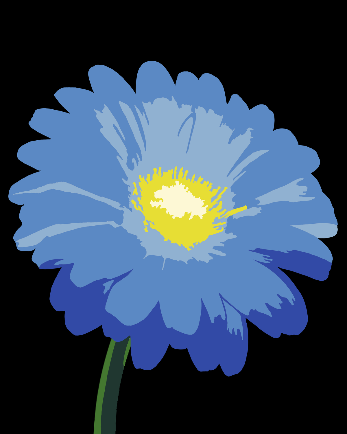 Daisy