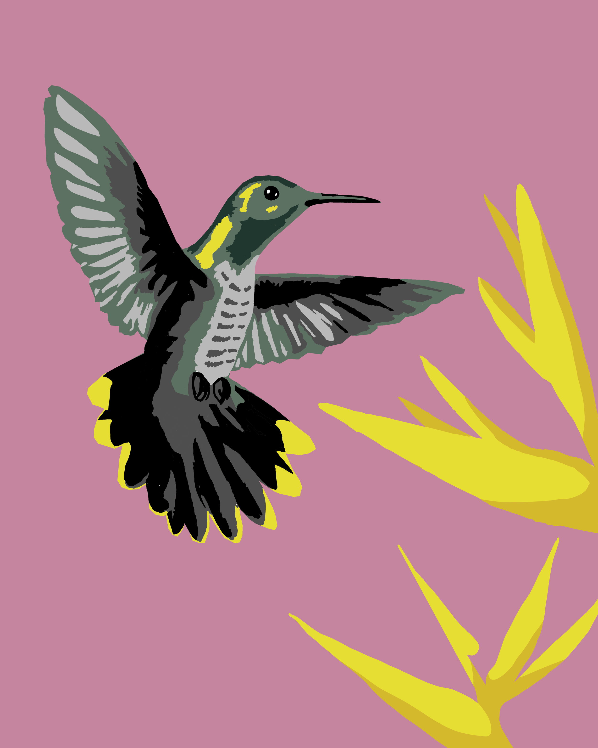 Humming Bird