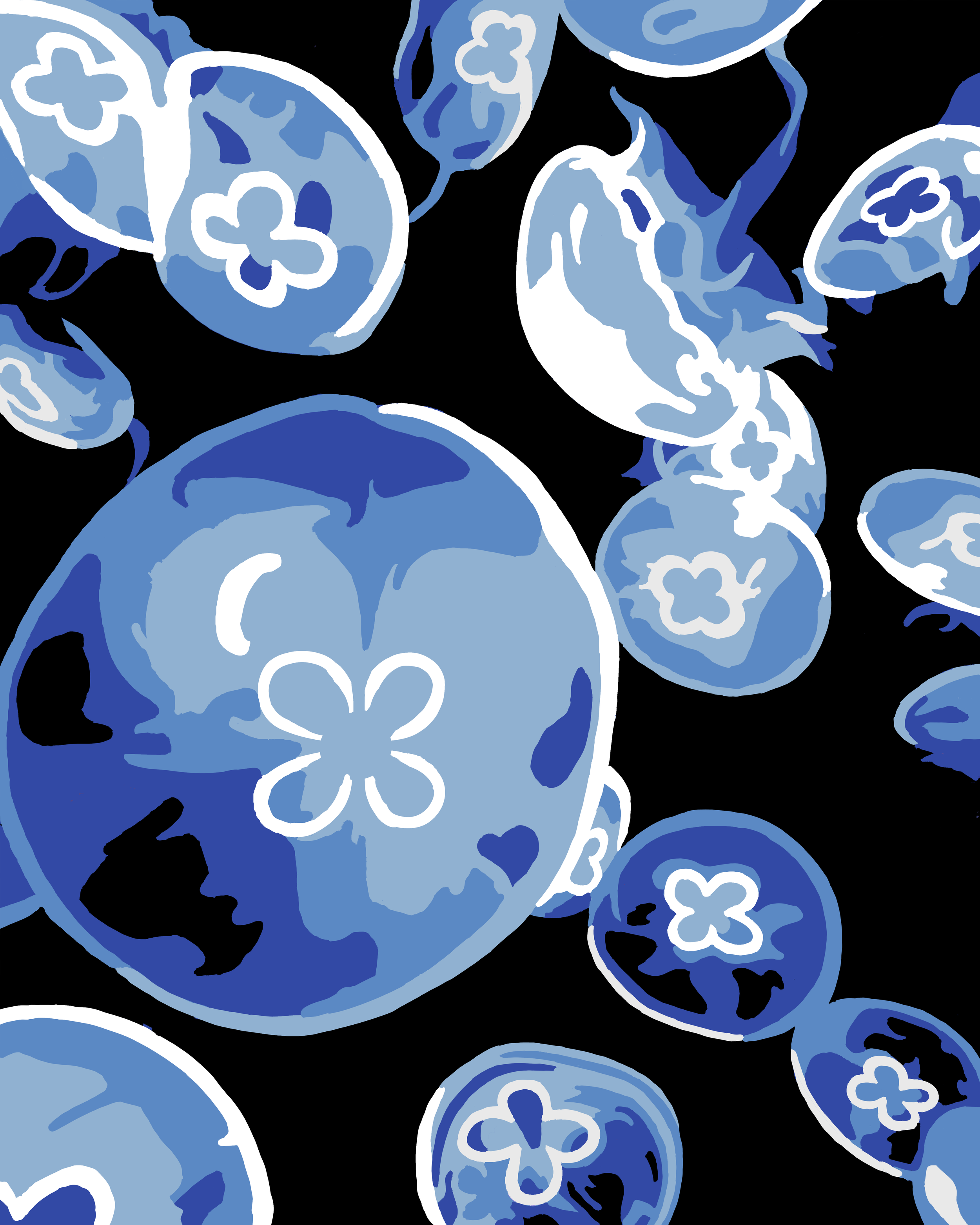 Jellyfish