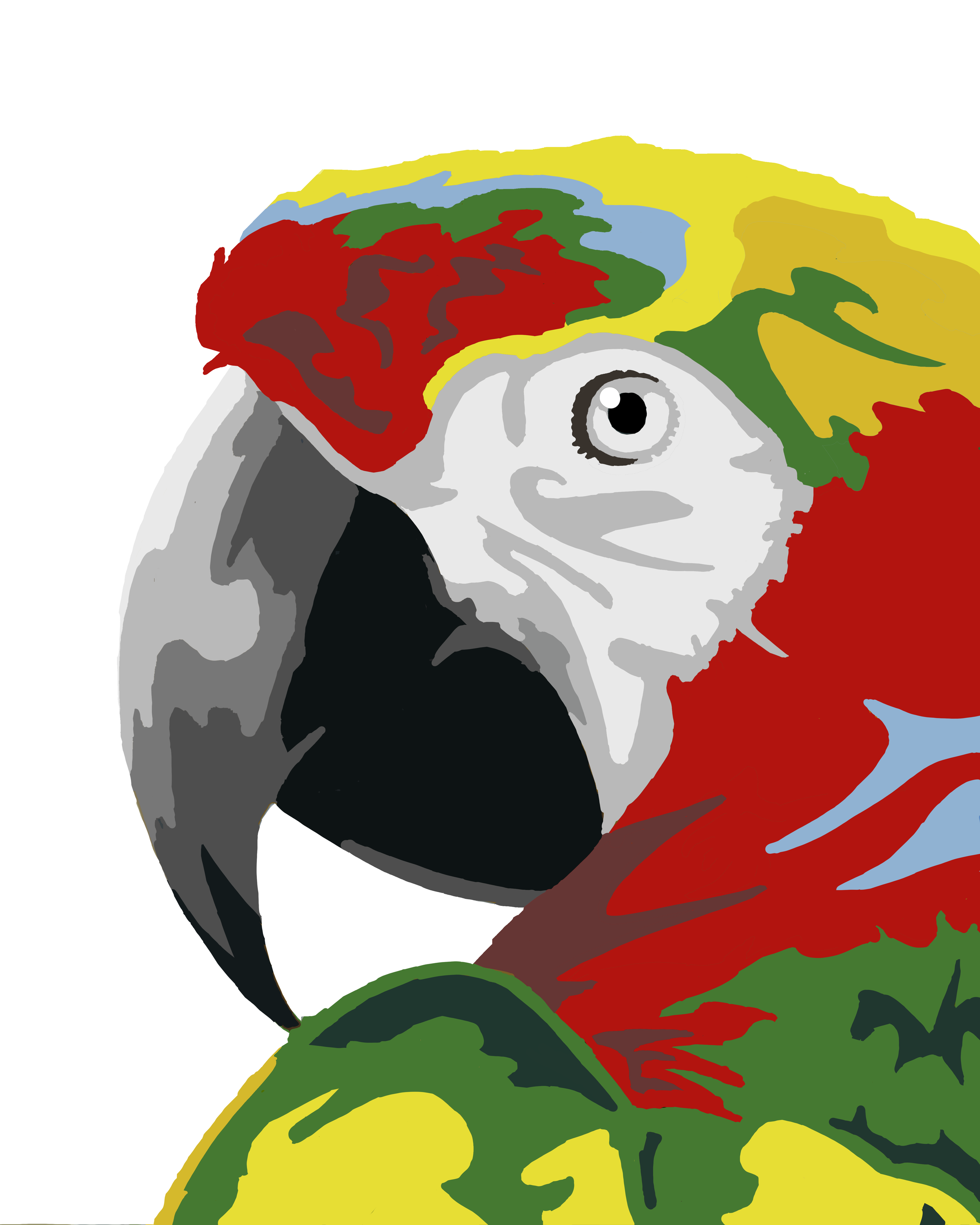 Parrot