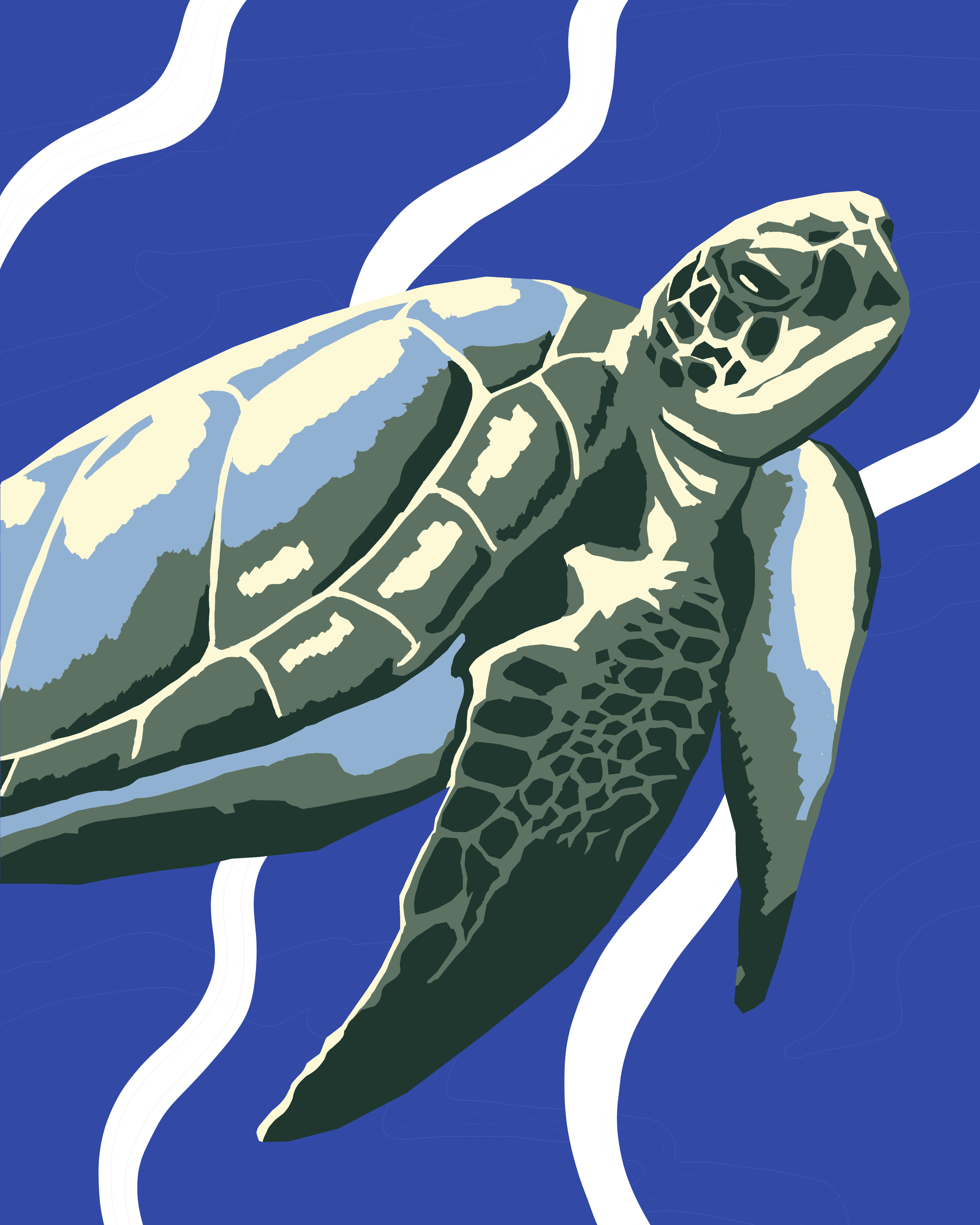Sea Turtle