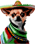 Sombrero Chihuahua