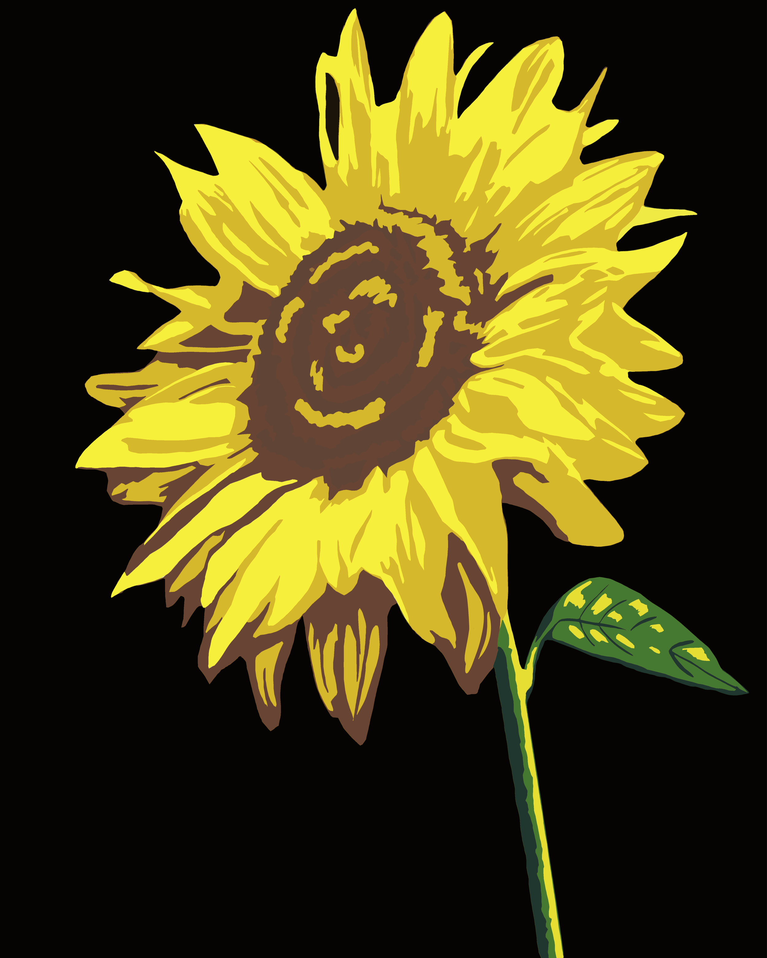 Sunflower