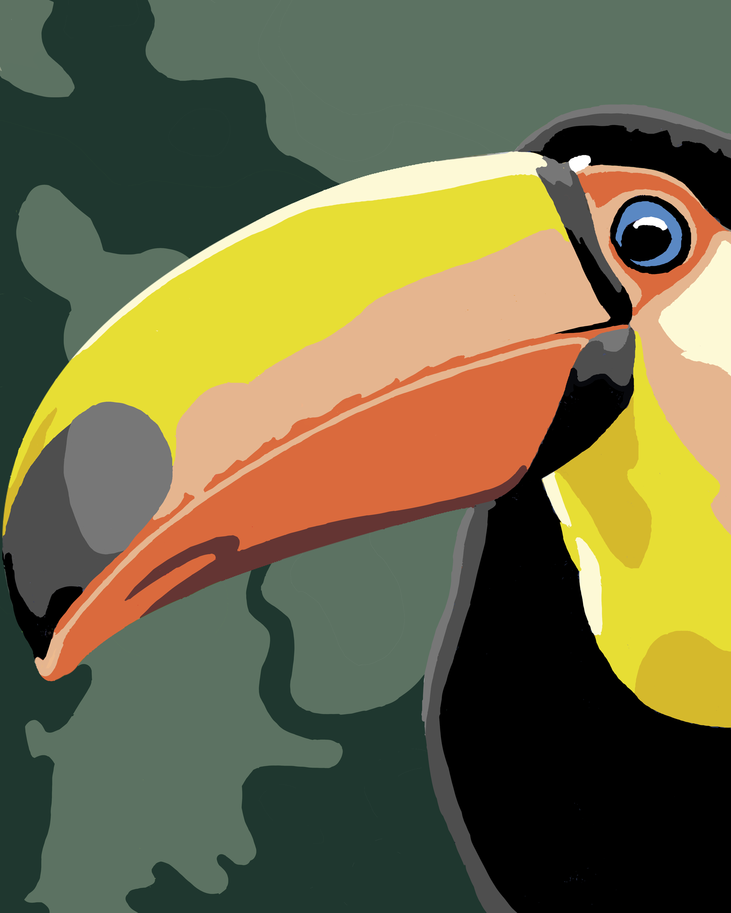 Toucan