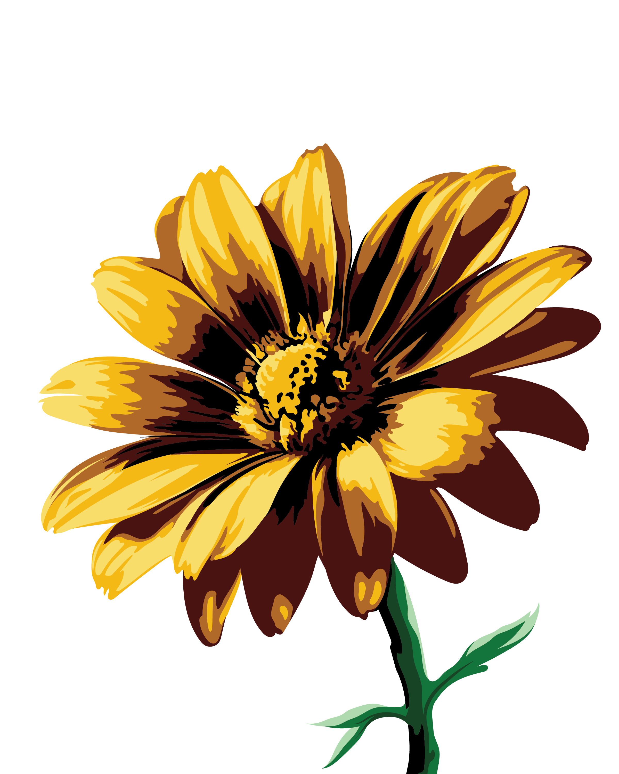 Yellow Daisy